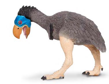 Model of a giant, flightless bird from Safari Ltd.