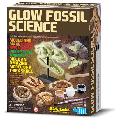 Ideal for budding young palaeontologists