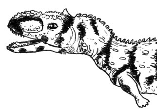 A typical Abelisaurid dinosaur.