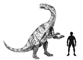 Triassic dinosaurs - Lufengosaurus