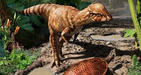In the shadow of larger dinosaurs, dog-sized Acrotholus walks next to larger dinosaur tracks.