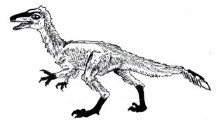 Feathered dinosaur.  Coelurosaurs.
