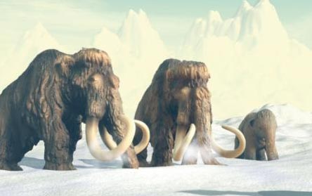 Woolly Mammoths. An Ice Age scene.
