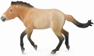 The CollectA Przewalski's horse model