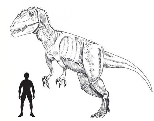 A new Carcharodontosaurus species has been described. This dinosaur appeared in "Planet Dinosaur".