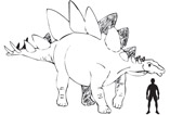An illustration of Stegosaurus (S. stenops).
