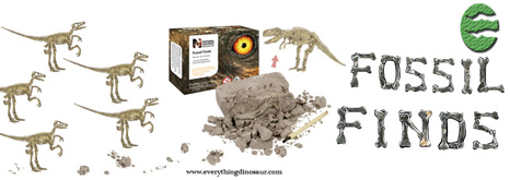 Everything Dinosaur creates a banner to promote Fossil Finds.