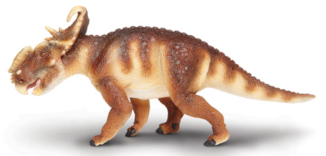 Horned dinosaur model.