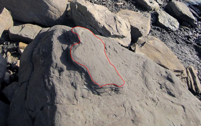 Outlined in red a dinosaur footprint.