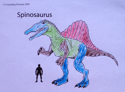 An illustration of a Spinosaurus.