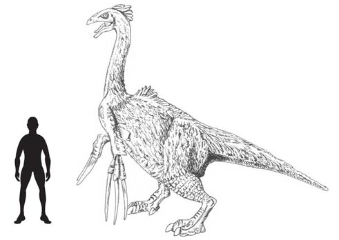 Puzzling therizinosaurs - a scale drawing of Therizinosaurus.