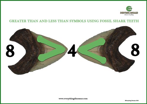 Fossil shark teeth used to help demonstrate symbols in maths.