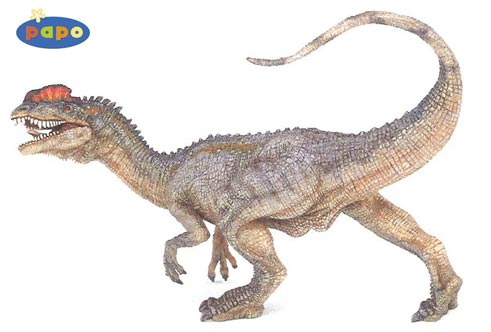 Fossils found 60 years ago helped to describe Dilophosaurus.