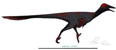 An illustration of G. mongoliensis. Scale bar = 1 metre.