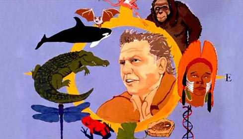 Life on Earth first shown in 1979.