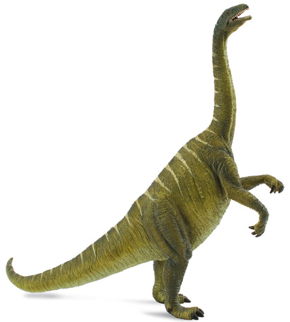 A Plateosaurus dinosaur model.