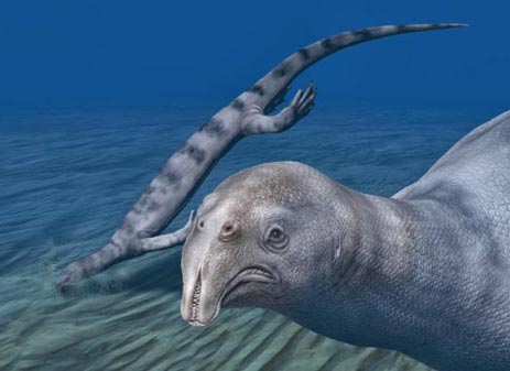 Strange Triassic marine reptile.