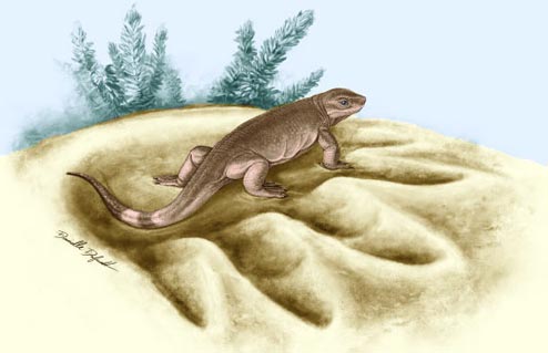 Ancient fossil shed light on the earliest ancestors of land herbivores.