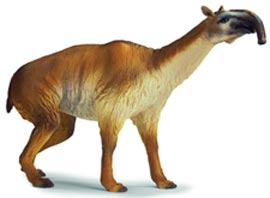 The Macrauchenia Prehistoric Animal model by Schleich