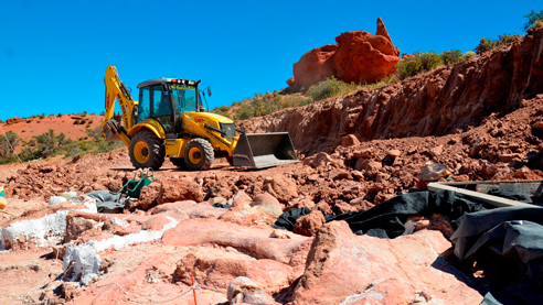 Big fossils require big diggers to excavate them.