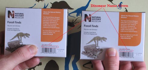 The name of the dinosaur whose skeleton is featured in the kit can be seen just above the bar code.