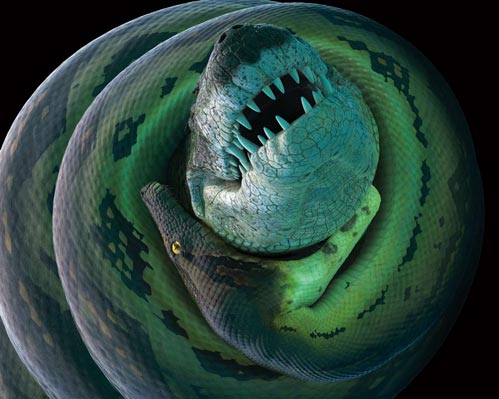 Titanoboa tackles the short-snouted Anthracosuchus.