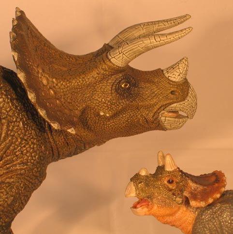 The baby Triceratops figure next to the adult Papo Triceratops