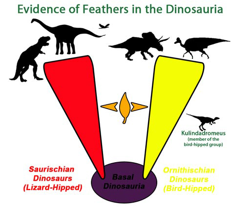 Ornithischians had feathers too.