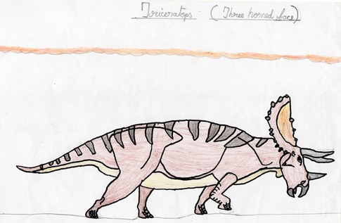 Super drawing of a Triceratops from M. V. Eashwar.