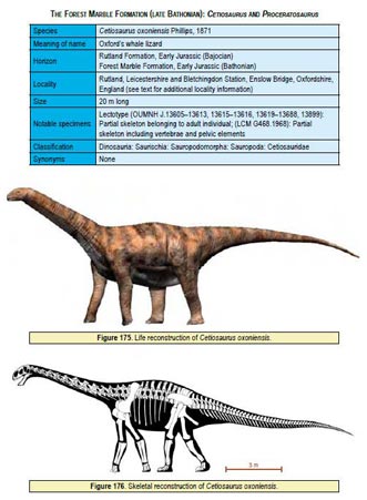 Helpful tables provide further information and alongside life restorations, scientifically accurate skeletal drawings have been provided.