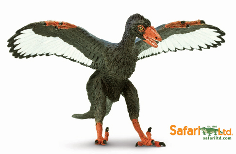 Wild Safari Dinos Archaeopteryx. New Archaeopteryx study suggests black feathers.