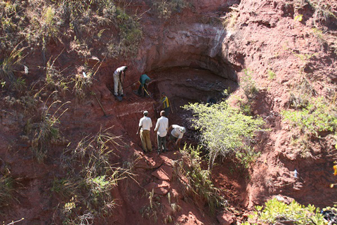 The fossils were excavated from a steep cliff.