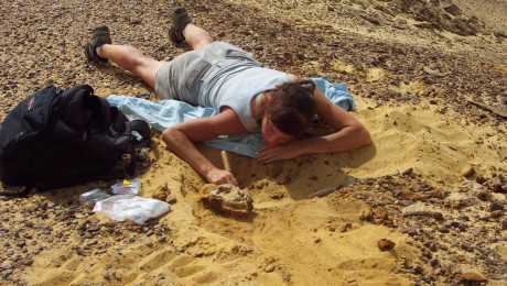Often palaeontology can involve lying down on the job.