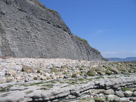 Good idea to go fossil collecting on a falling tide and to keep away from the steep cliffs.