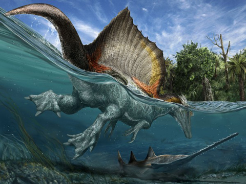 Spinosaurus swimming.