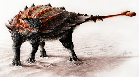 New Armoured Dinosaur from New Mexico