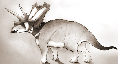 A new species of "northern Pentaceratops".