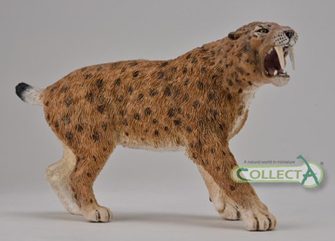 CollectA Smilodon model