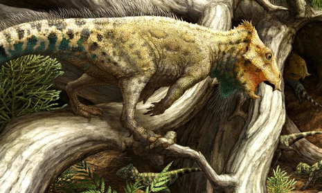 Earliest horned dinosaur known from North America.