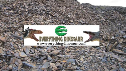 Click on the banner to visit Everything Dinosaur's Youtube channel.