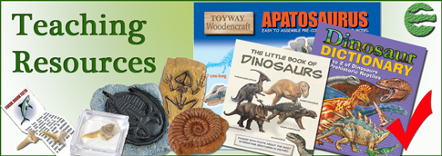 Fossils, books, puzzles and games for schools.