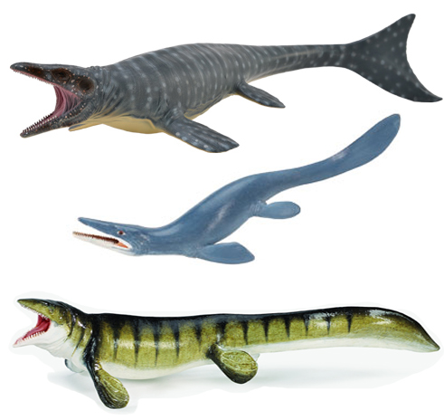 Comparing different models of Mosasaurs.