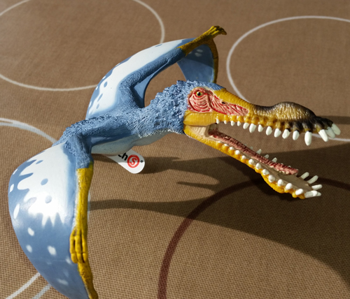 Pterosauria model.
