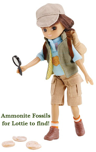 Lottie the Fossil Hunter