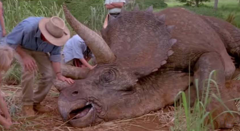 A Triceratops that is not feeling very well.
