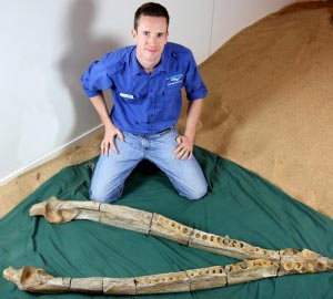 Dr. Timothy Holland provides a scale next to the massive Kronosaurus jaw.