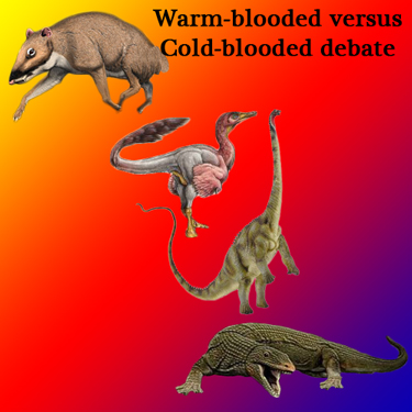 Where on the spectrum between endothermic and ectothermic are the Dinosauria?