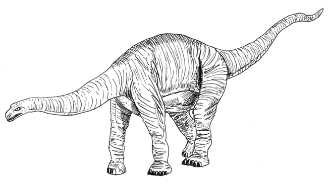 Primitive sauropod illustration.