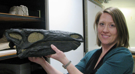 Dr Susannah Maidment, one of the authors of the study holding a cast of a Stegosaurus skull.