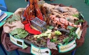 Dinosaur habitats with Year 1 children.